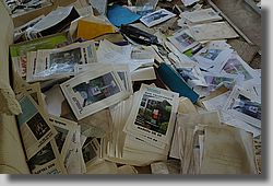 DSC_4181.jpg