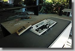 DSC_4193.jpg