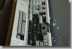 DSC_4194.jpg