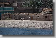 DSC_2478.JPG