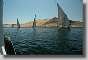 DSC_3048.JPG