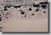 DSC_3060.JPG