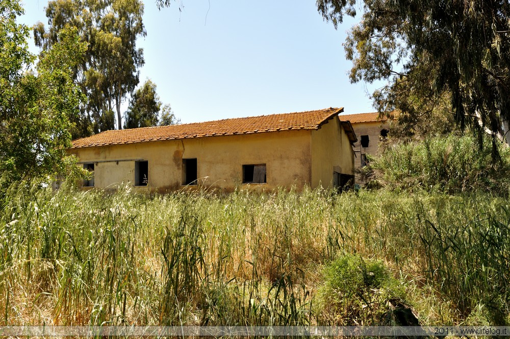 Abandoned farm