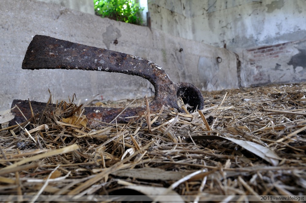 Abandoned farm