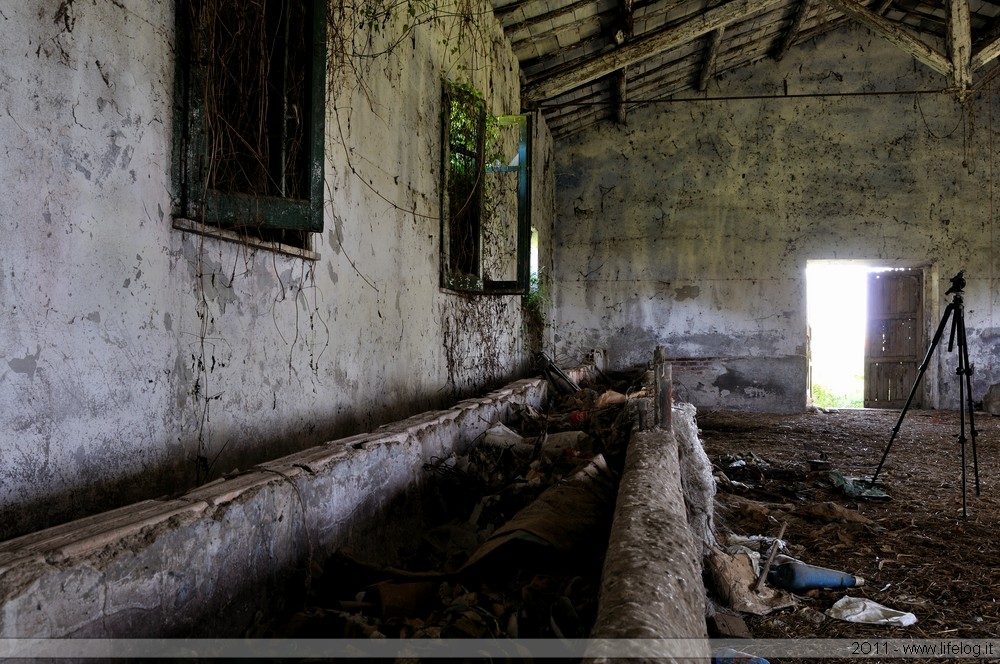 Abandoned farm