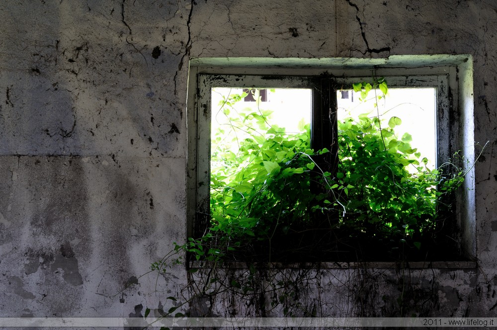 Abandoned farm