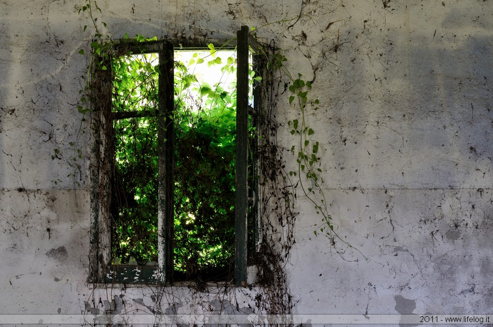 Abandoned farm