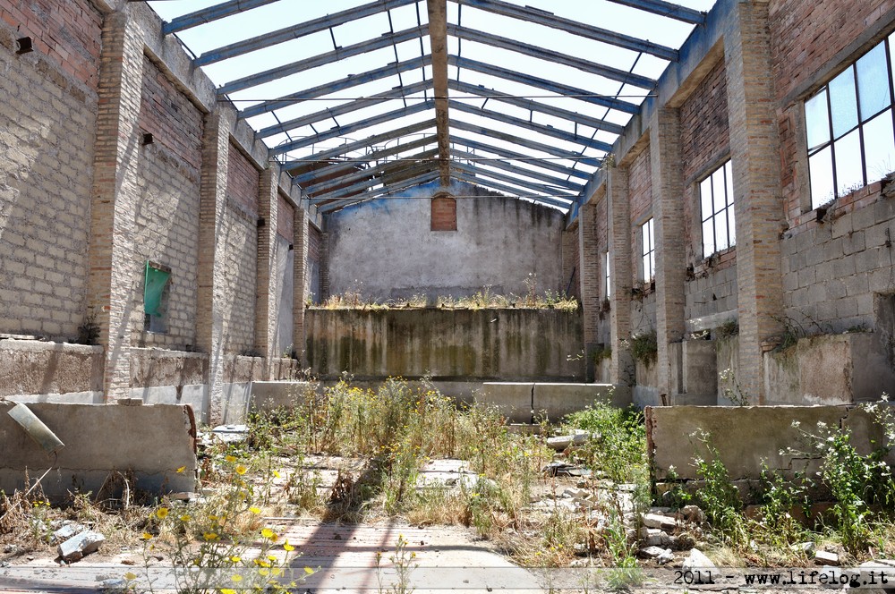 Old farm