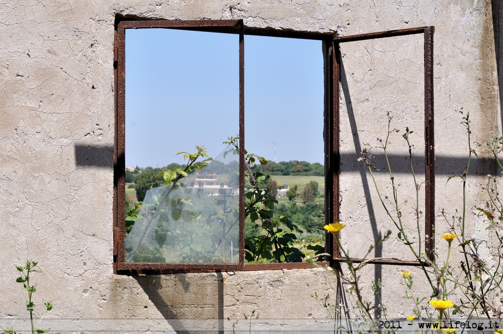 Old farm