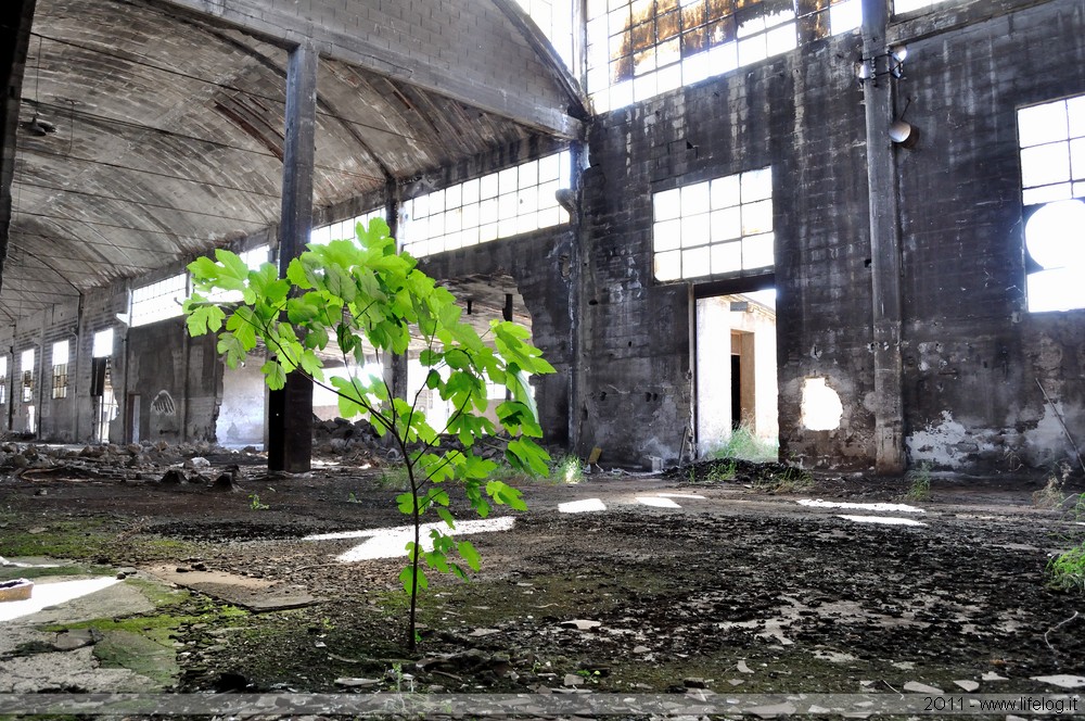 Enamel bath factory