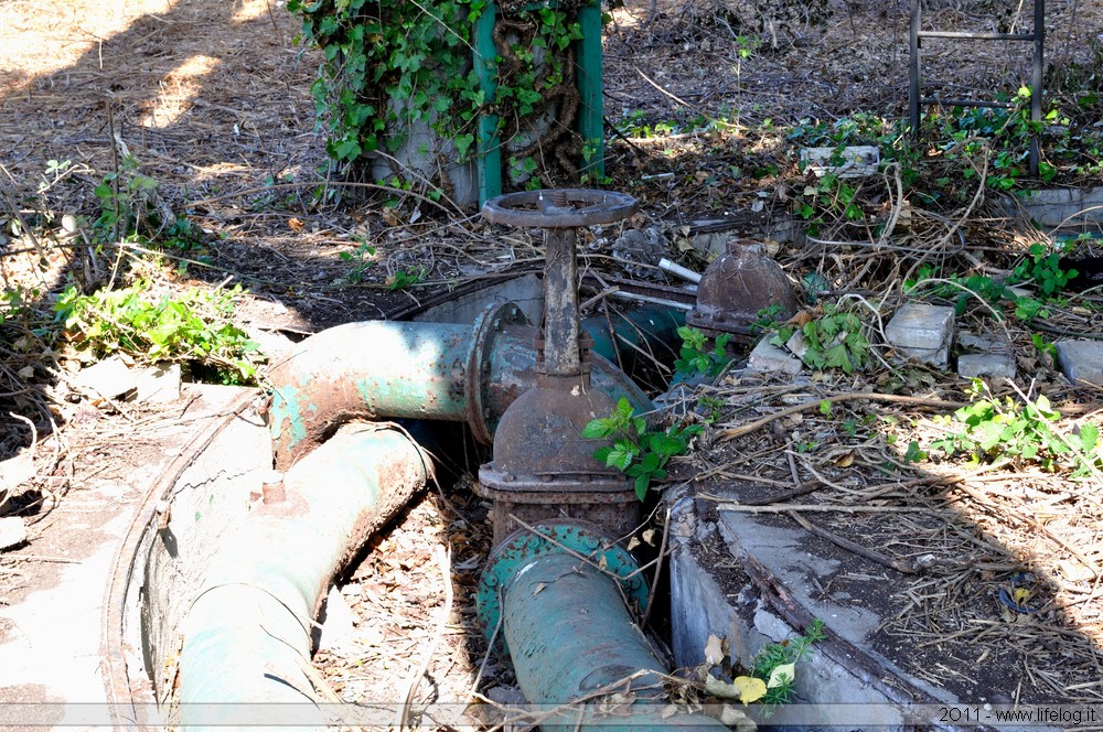Gas distribution plant