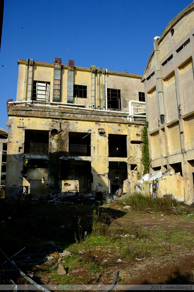 Abandoned pharmaceutical plant