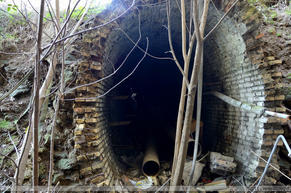 Abandoned pharmaceutical plant