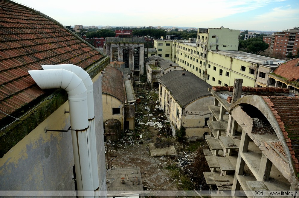 Abandoned pharmaceutical plant