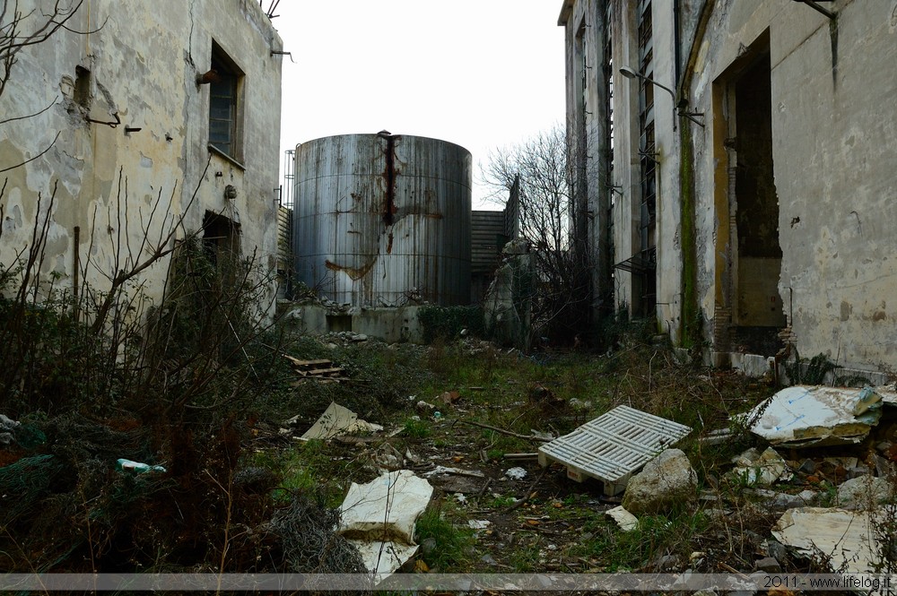 Abandoned pharmaceutical plant