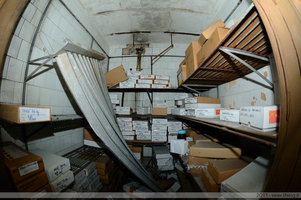 Abandoned pharmaceutical plant