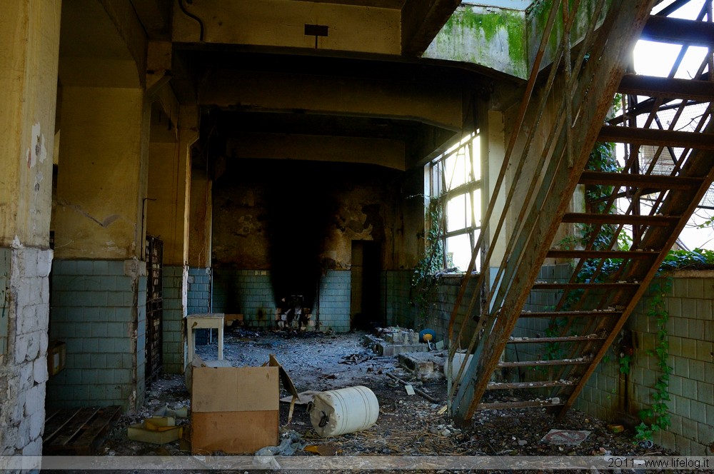 Abandoned pharmaceutical plant