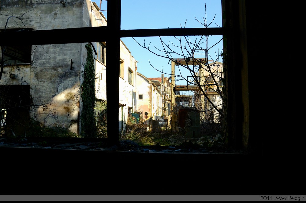 Abandoned pharmaceutical plant