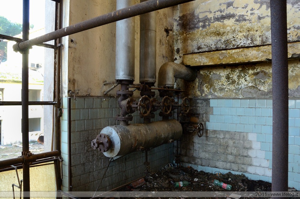 Abandoned pharmaceutical plant