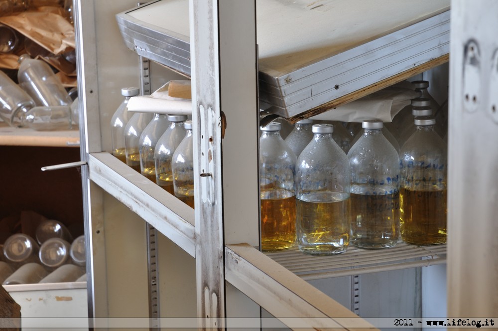 Abandoned pharmaceutical plant