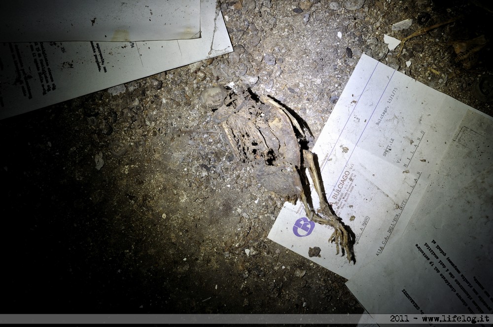 Abandoned pharmaceutical plant