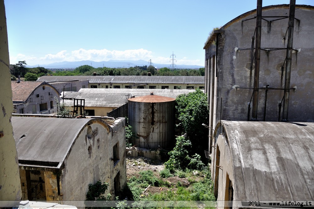 Abandoned pharmaceutical plant