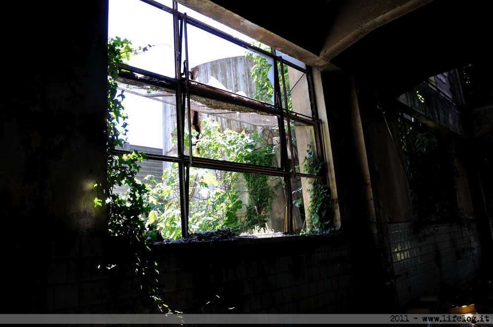 Abandoned pharmaceutical plant