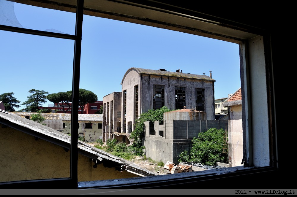 Abandoned pharmaceutical plant