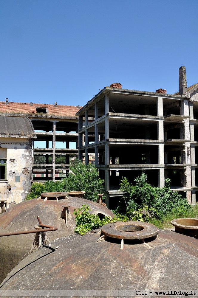Abandoned pharmaceutical plant