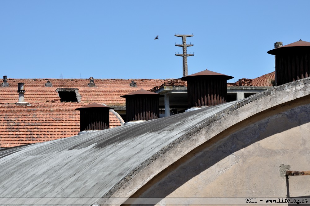 Abandoned pharmaceutical plant