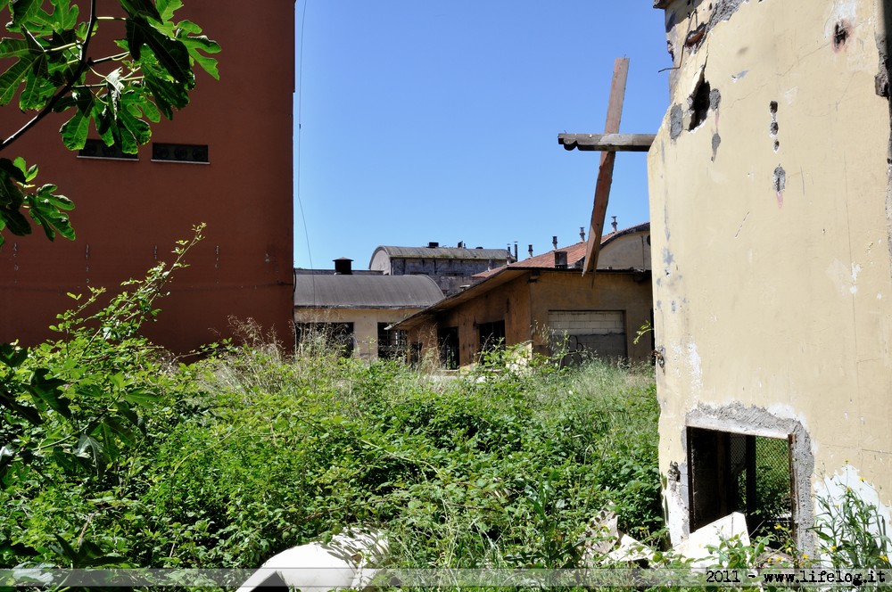 Abandoned pharmaceutical plant