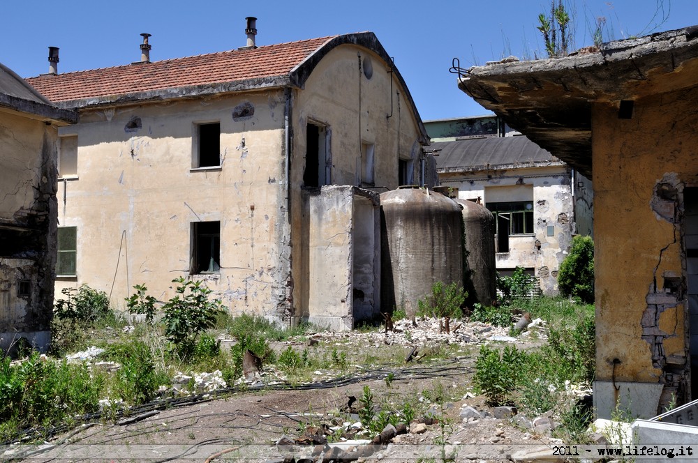 Abandoned pharmaceutical plant