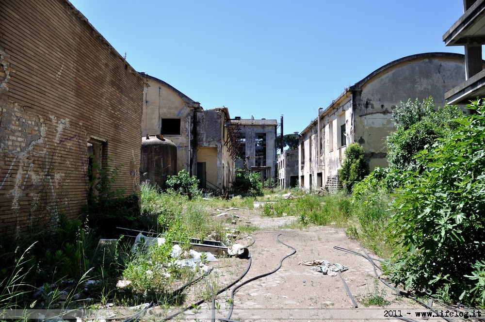 Abandoned pharmaceutical plant