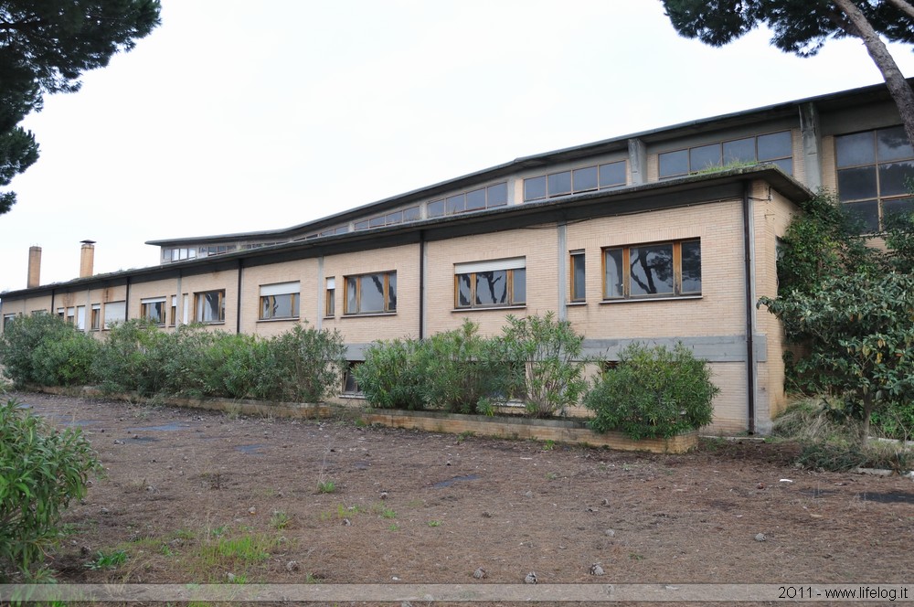 Abandoned wooden products factory