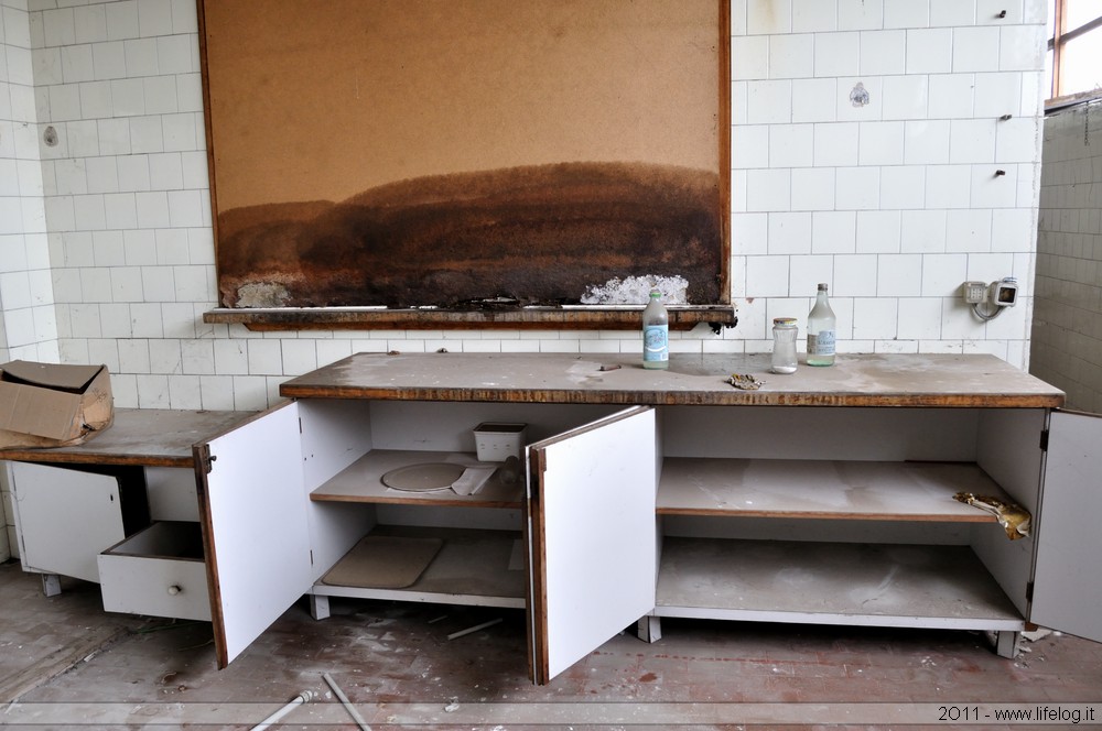 Abandoned wooden products factory