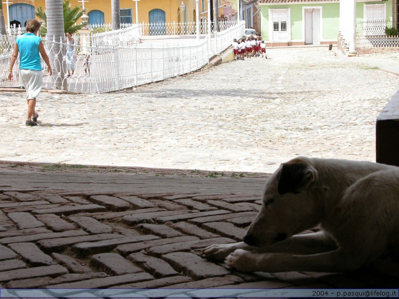 Cuba - Pietromassimo Pasqui 2004