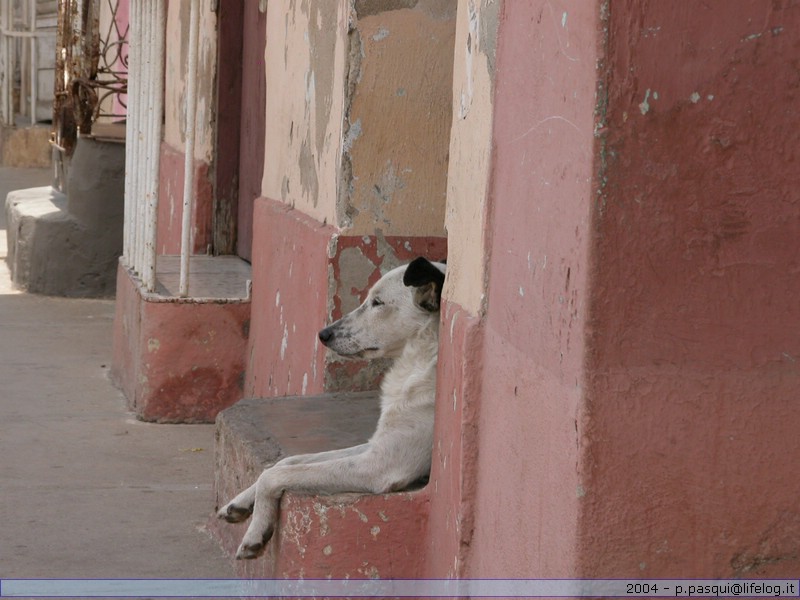 Cuba - Pietromassimo Pasqui 2004