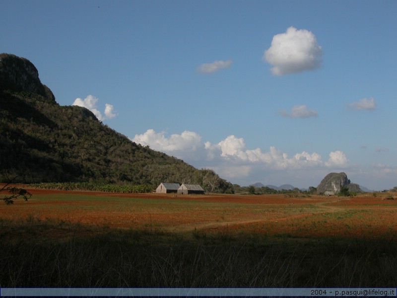 Cuba - Pietromassimo Pasqui 2004