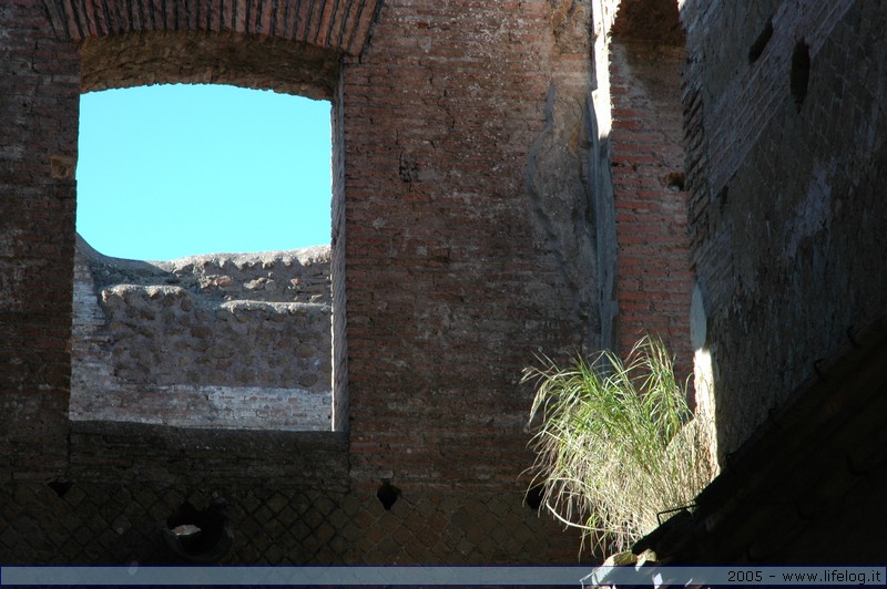 Ostia Antica (RM) - Pietromassimo Pasqui 2005