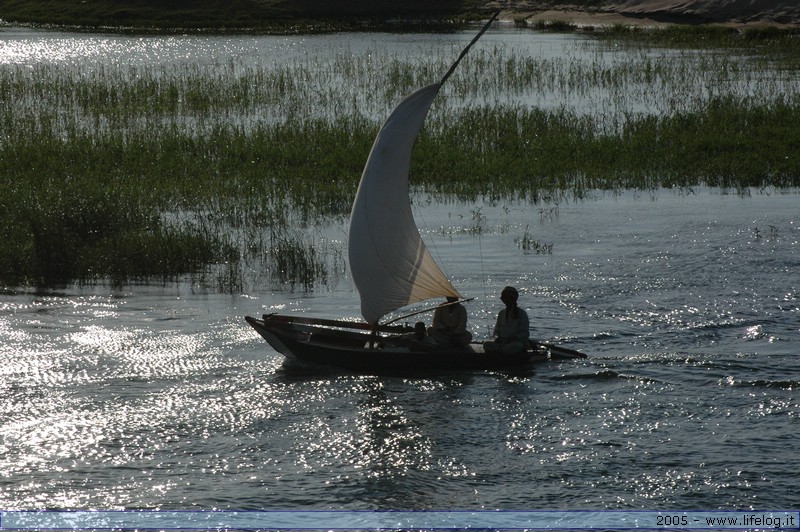 Egitto - Pietromassimo Pasqui 2005