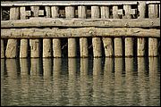 05DSC_3543