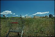 05DSC_4462
