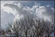 05DSC_5856