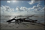 05DSC_5908