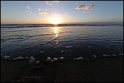 06DSC_0386