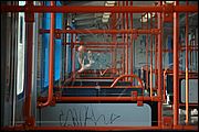 06DSC_6397