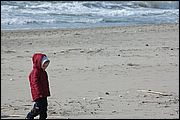 06DSC_6537