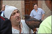 Falconiere presente per la Corsa alla Spada - Camerino (MC)