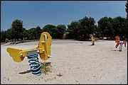 06DSC_8073