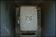 06DSC_8782